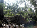 Zřícenina hradu Křídlo
