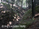 Zřícenina hradu Křídlo