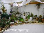život na zahradě 2005