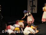 Folklorní festival Polabská Vonička