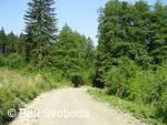 Teplice nad Bečvou - Rekonstrukce cesty - VLO
