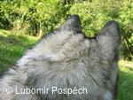 Survival pobyt pod Kykulou