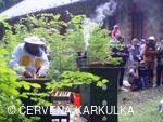 Medobraní s dětským dnem 2009