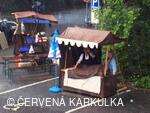 Medobraní s dětským dnem 2009 - zase prší