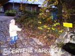 Perníkiáda 2009 - Běh pro živou vodu